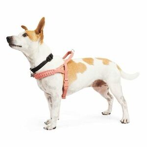 Youly Pink Dog Harness (the Bohemian)